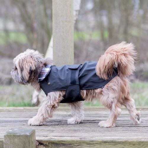 Manteau Paris