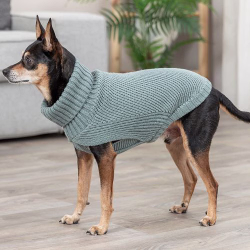 Meilleur Pull pour chien : Berlin Sauge