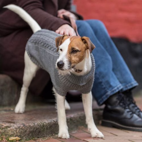Pull Kenton gris