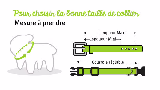 Comment prendre la taille du collier ?