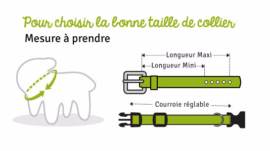 Comment prendre la taille du collier ?