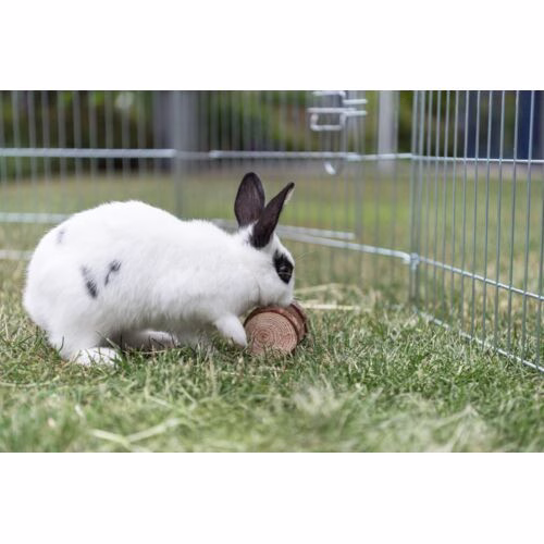 Quel est est le jeu préféré des lapins nains ?