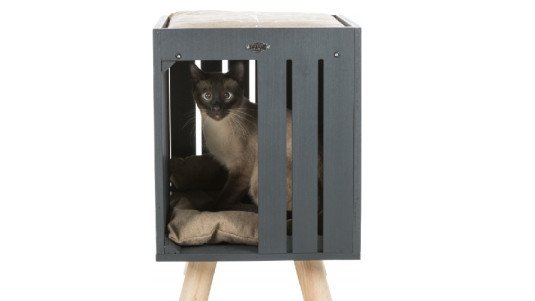 Existe-t-il un couchage en hauteur pour un chat ?
