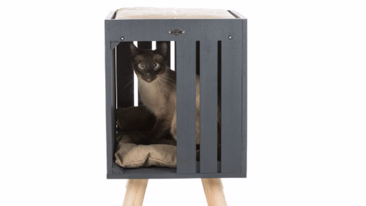 Existe-t-il un couchage en hauteur pour un chat ?