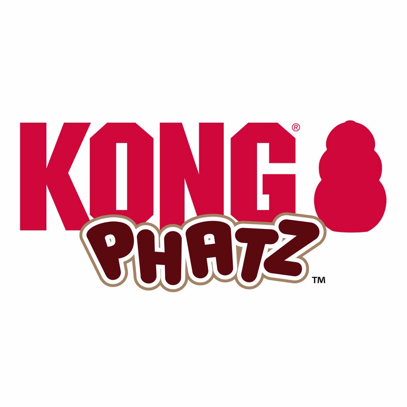 Jouet KONG Phatz Pig