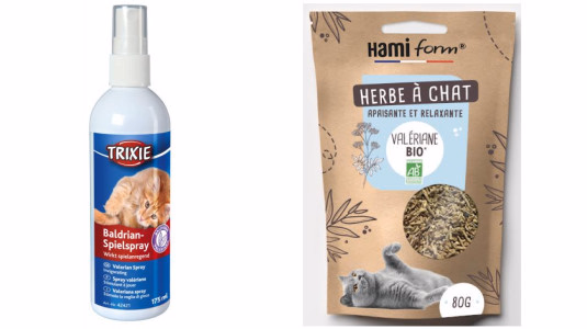 Comment faire dormir un chat dans sa panière ?