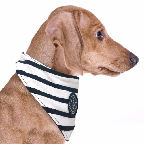 Bandana pour chien rayé GURVAN