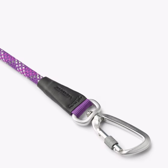 Laisse corde pour chien ronde urban rope PASSION, ultra solide