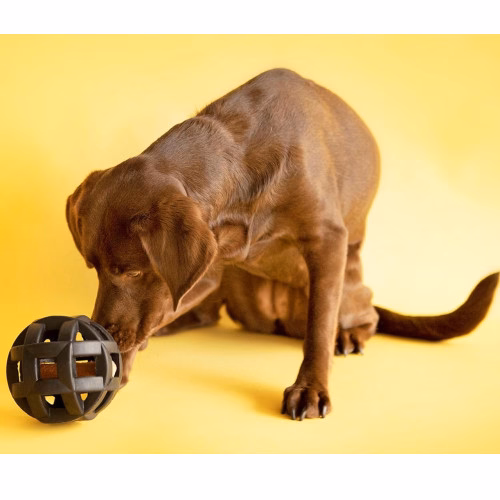 Balle HOL-EE ROLLER X medium pour chien