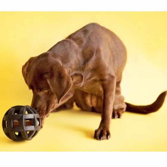 Balle HOL-EE ROLLER X medium pour chien