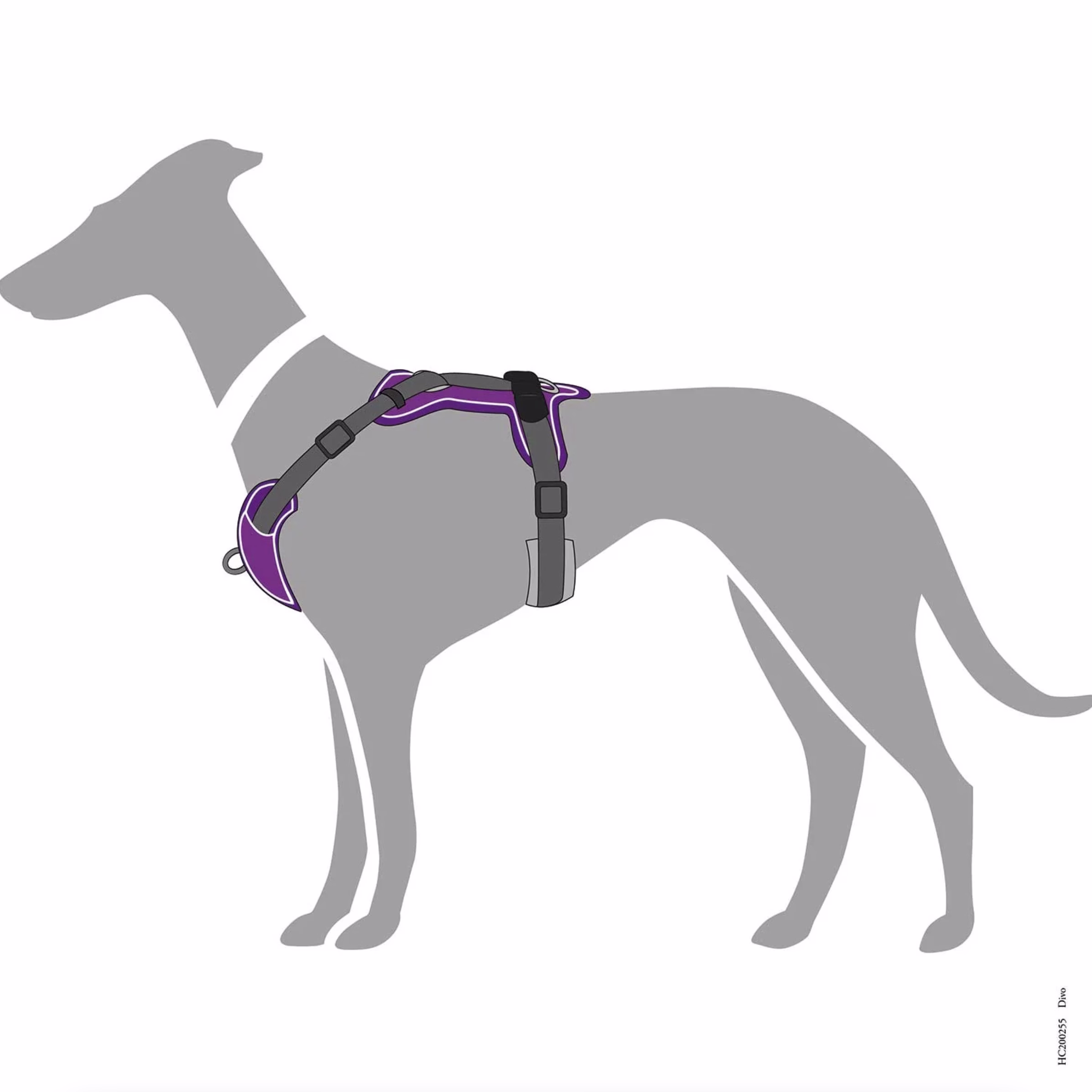 image 5.png