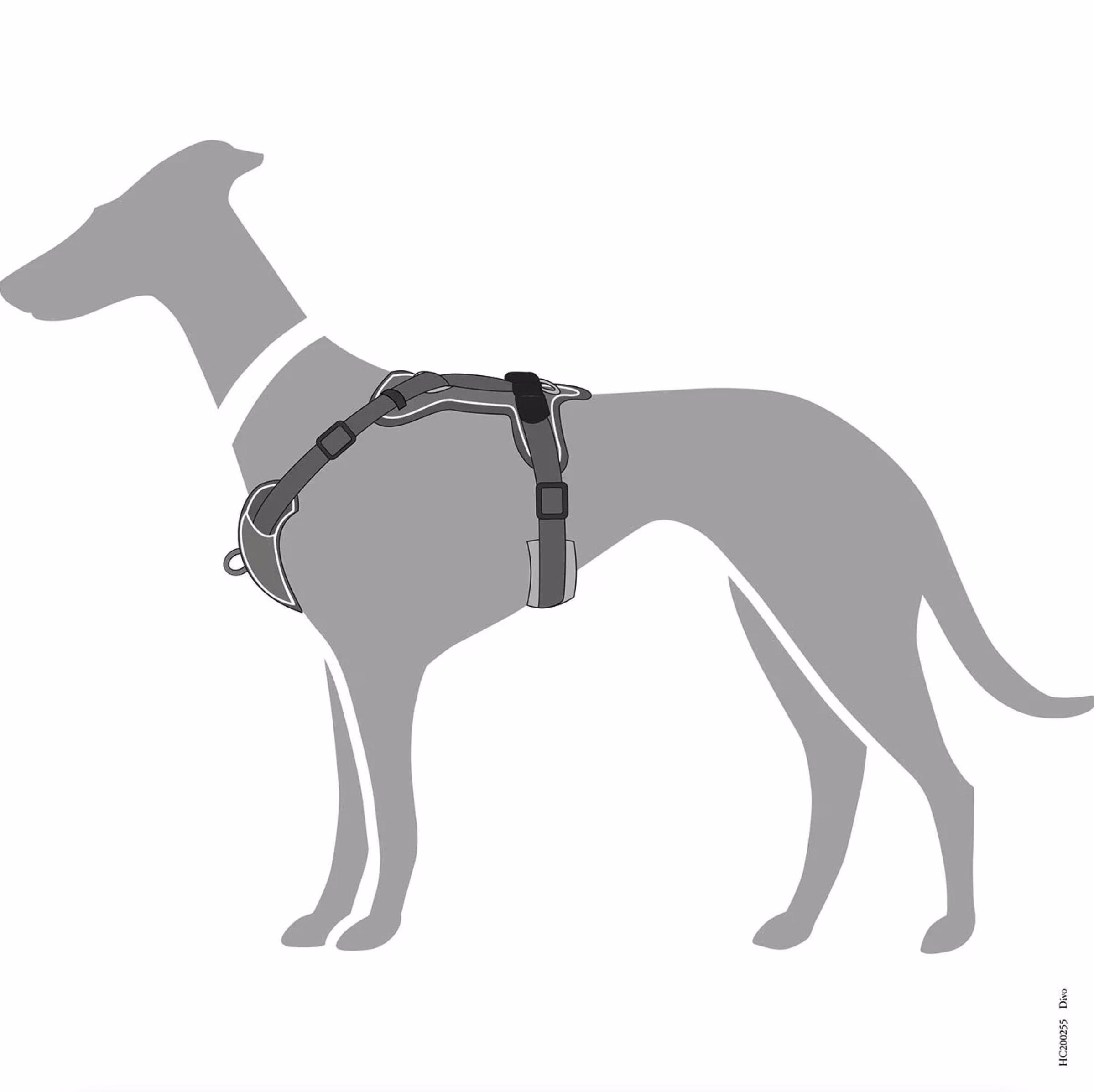 image 2.png