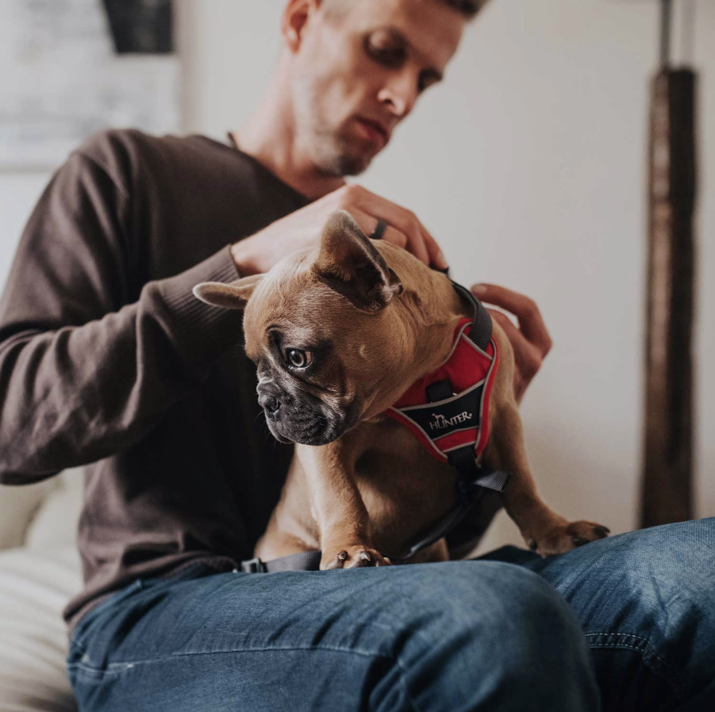 Harnais Divo pour chien qui tire ROUGE
