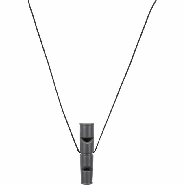 image 1.png
