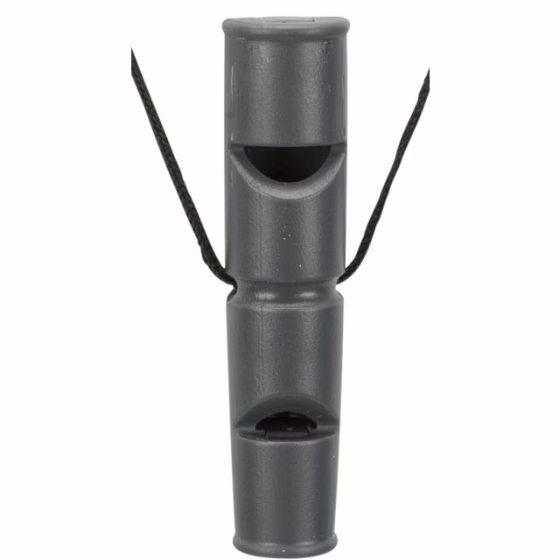 image 1.png