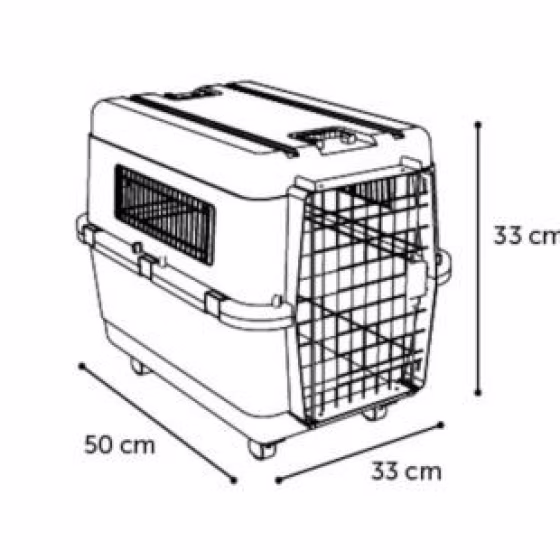 Image26.jpg