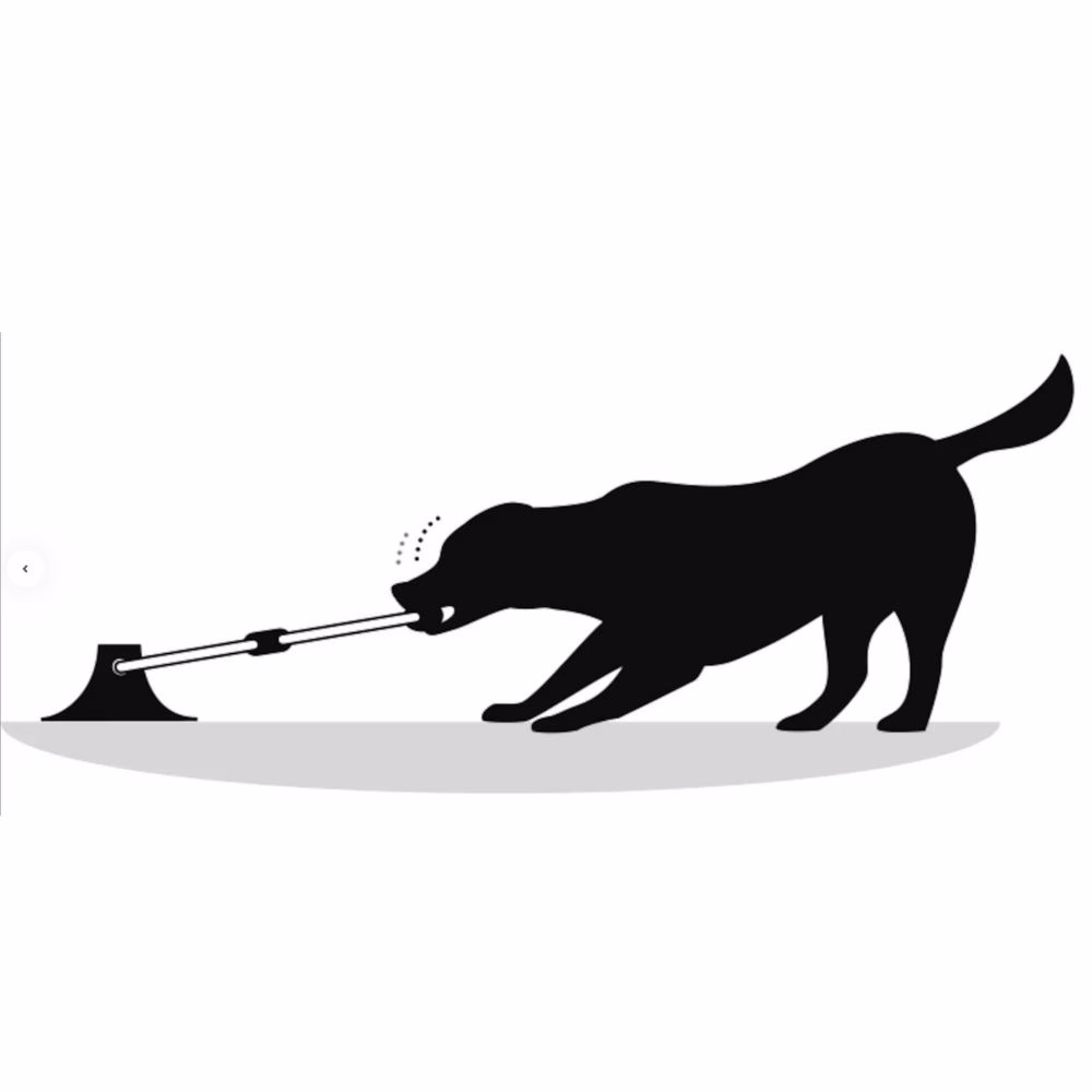 image 1.png