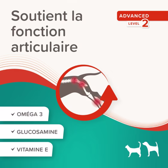 Sans titre-6.png