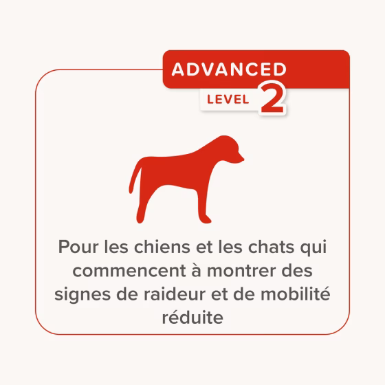 Sans titre-6.png