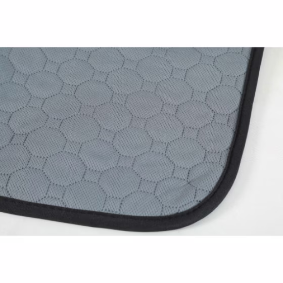 Tapis de propreté lavable pour chien