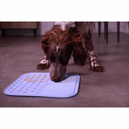 Tapis de léchage chien silicone