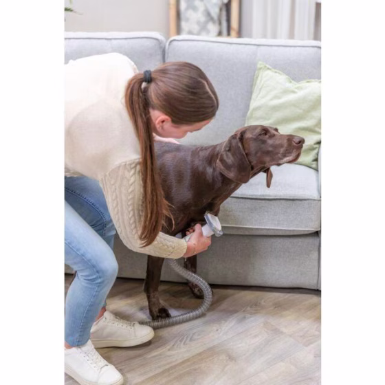 Brosse aspirateur chien : tondeuse
