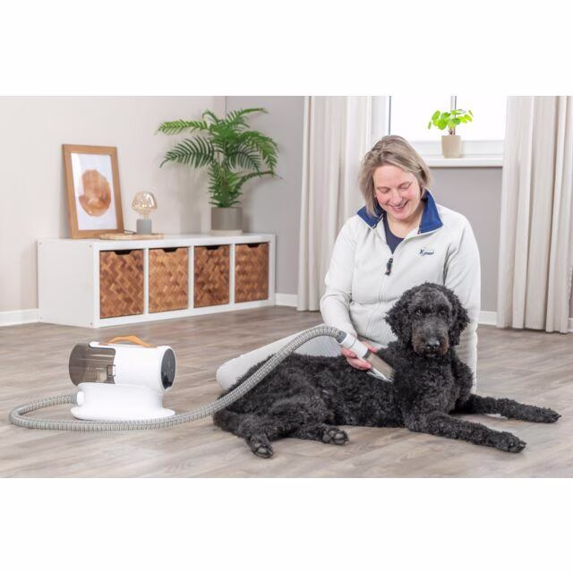 Brosse aspirateur chien : tondeuse
