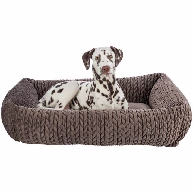Panière original Livia pour chien