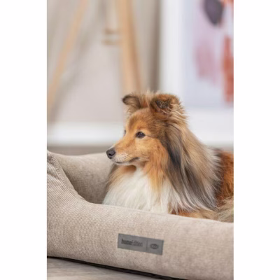Panier lit chien : déhoussable, lavable Matteo