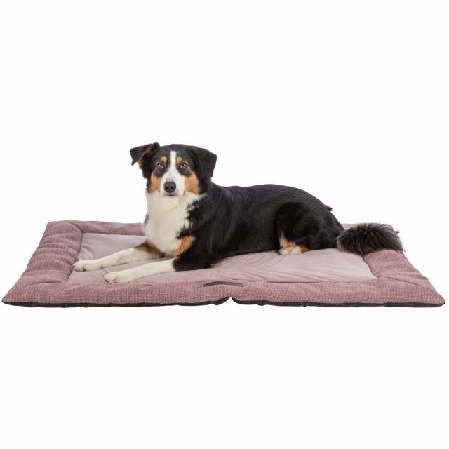 Matelas pour chiot confortable Viviana