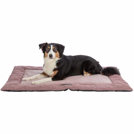 Matelas pour chiot confortable Viviana