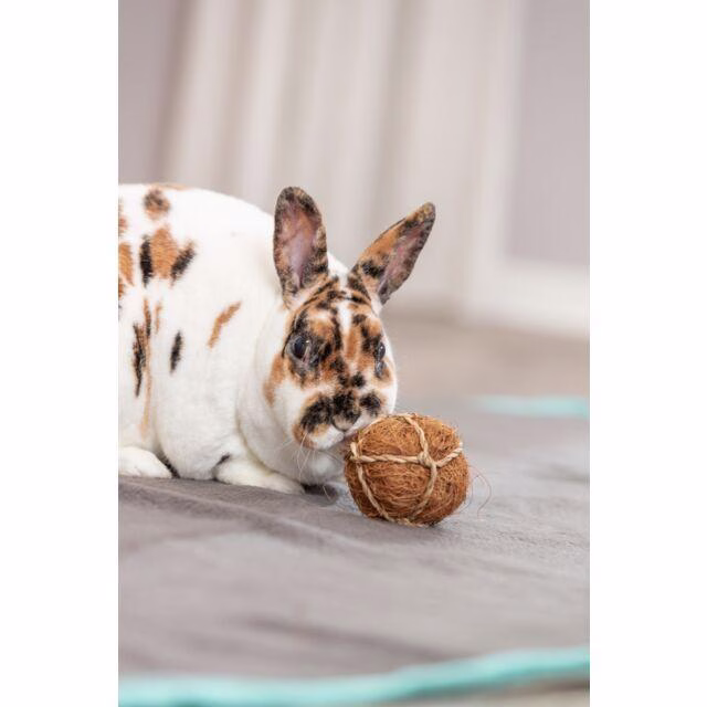 Balle fibre de noix de coco pour lapin / 100 % naturel