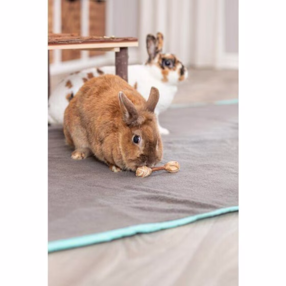 Jouet haltères bois et herbe lapin nain