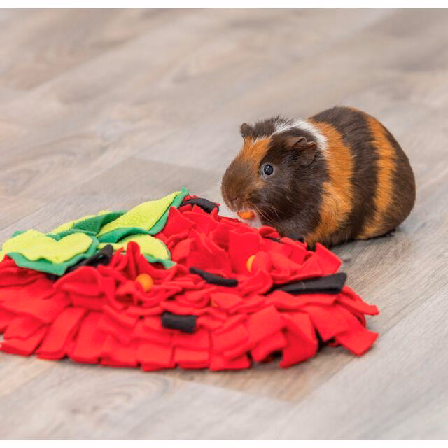 Tapis de fouille lapin forme fraise