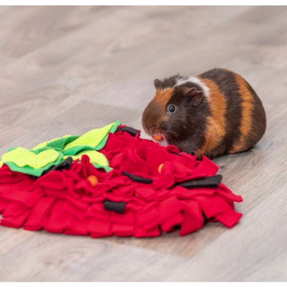 Tapis de fouille lapin forme fraise