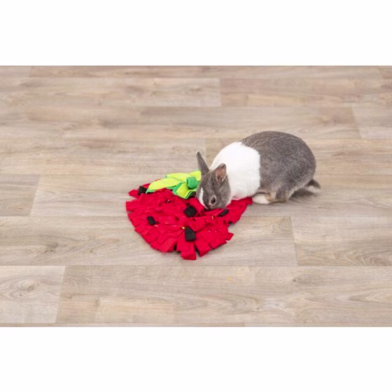 Tapis de fouille lapin forme fraise