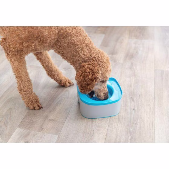 Gamelle de voyage anti débordement pour chien