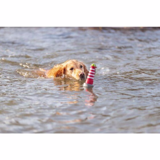 Jouet d'eau Phare avec corde pour chien