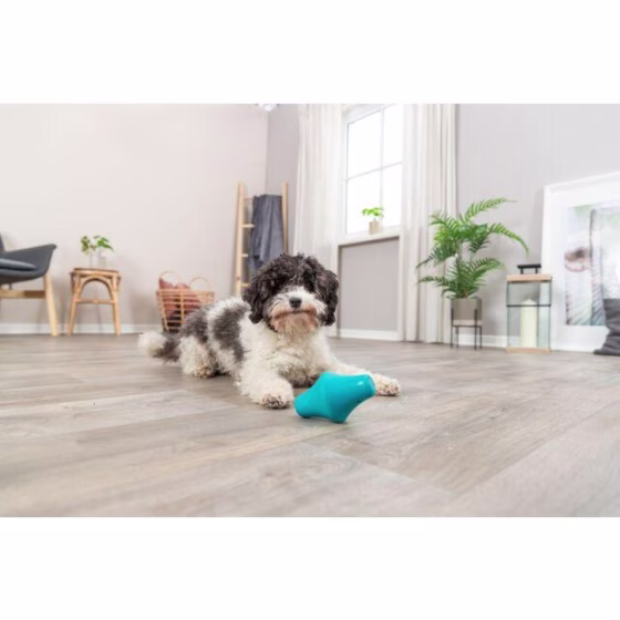 Jouet distributeur de friandises gyroscope