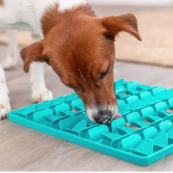 Tapis de lechage chien lick'n snack