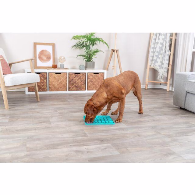Tapis de lechage chien lick'n snack