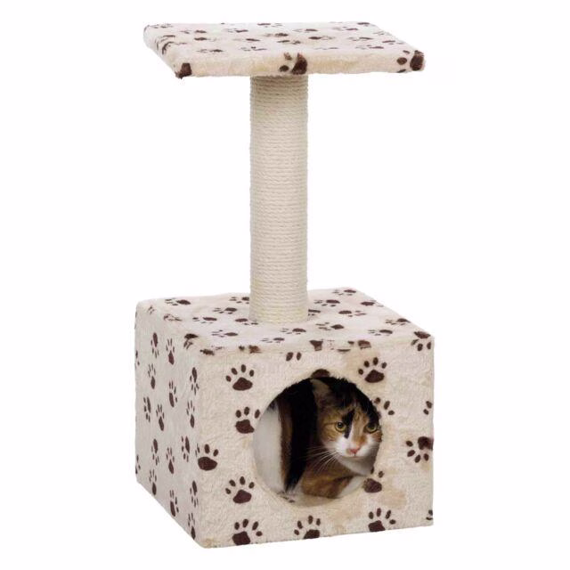 Petit Arbre à chat et chaton Zamora PATTES BEIGE