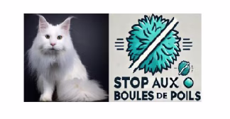 Boule de poils chat, Solution naturelle  ! Résultat immédiat !