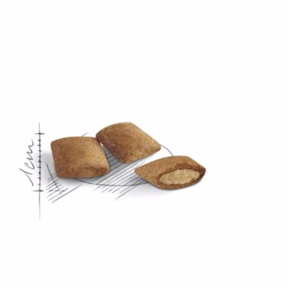 Croquettes royal canin chat ageing 12+
