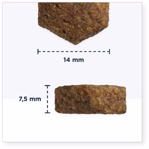 Croquettes chien en surpoids, stérilisé Eukanuba