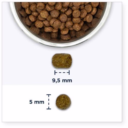 Croquettes chat senior Eukanuba au poulet