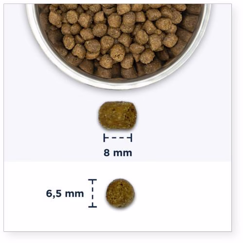 Croquettes chat anti boule de poils Eukanuba