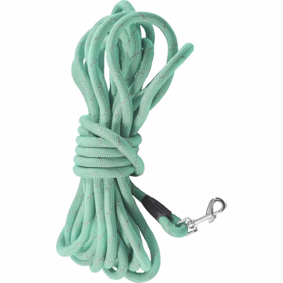 Longe pour chien Walk LAGON