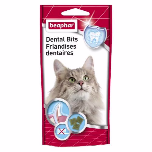 Friandises dentaires pour chat