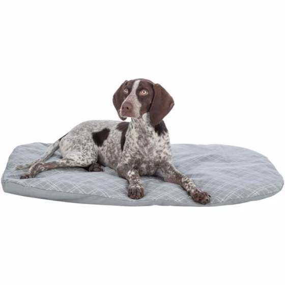 Coussin pour panier Jessie, taille XXL